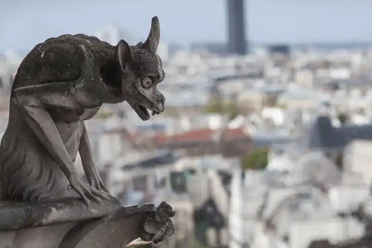 巴黎圣母院:近千年的故事和一瞬间的感动