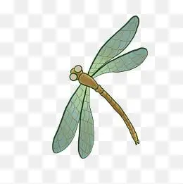 卡通蜻蜓飞翔插画
