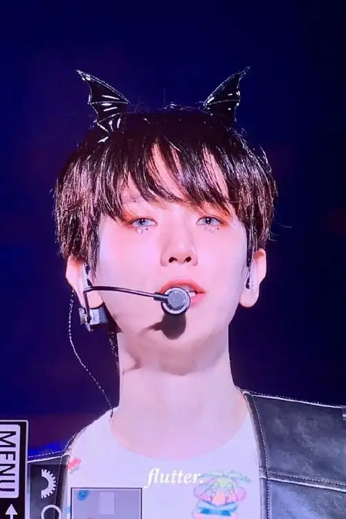 bh】伯贤亚巡演唱会  lonsdaleite> in 千叶 预览 甜甜949494