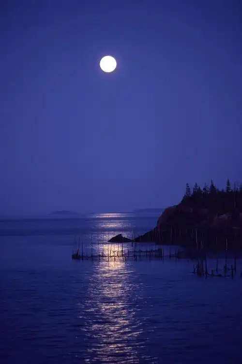 月亮的图片唯美图片