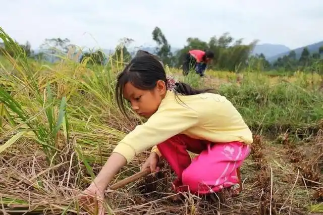 城里小孩和农村小孩有什么不同?区别很大