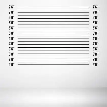 【白色背景图线】图片免费下载_白色背景图线素材_白色背景图线模板-