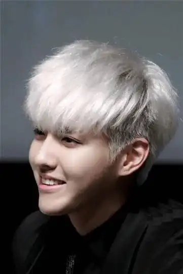 出席重大活动的吴亦凡,银色头发招人喜欢,并把鬓角部分的头发剃短