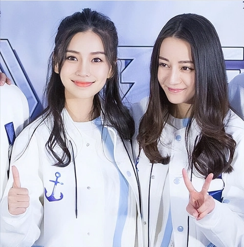 杨颖力压迪丽热巴,拿下猫人品牌的代言,两家粉丝因此又起了摩擦