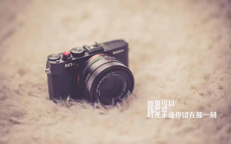 qq空间伤感文字背景图