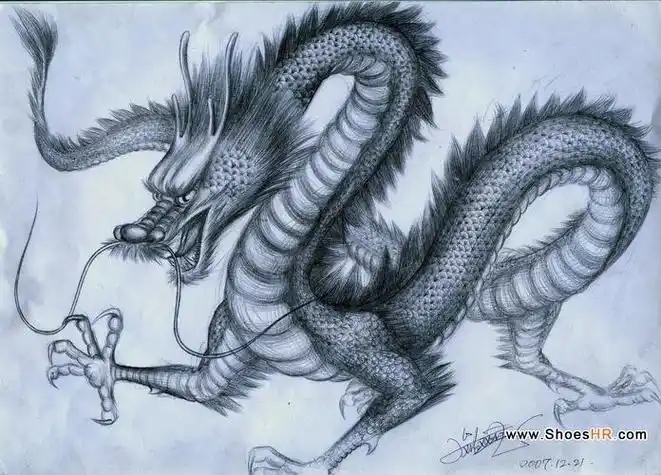 素描龙图片 素描龙图片大全简单