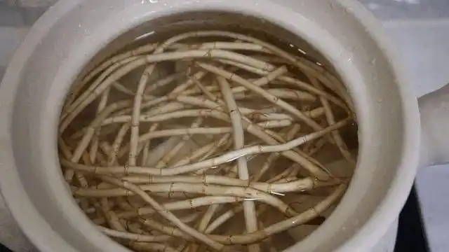 鱼腥草是害人草吗吃鱼腥草到底是好是坏不妨了解一下