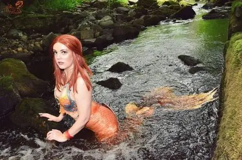 真实美人鱼的世界