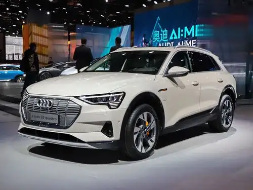 相比我们常见的奥迪车型,这台e-tron独具魅力.