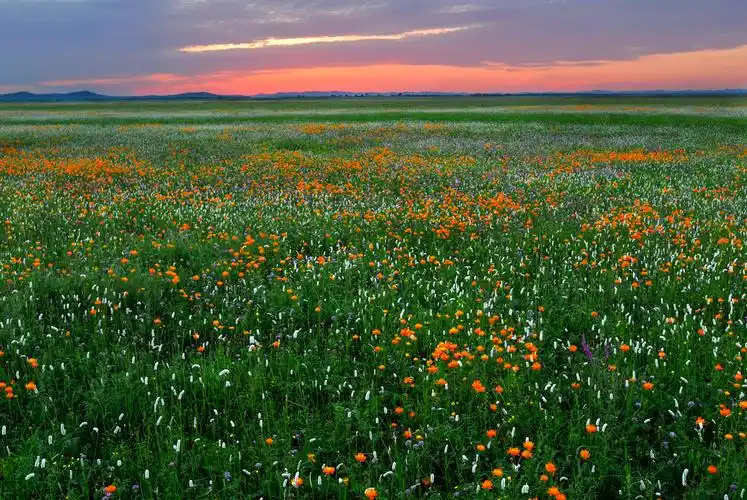 【携程攻略】沽源五花草甸适合朋友出游旅游吗,五花草甸朋友出游景点