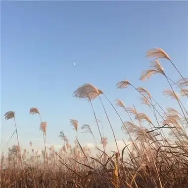 生辰八字详细分析:你的孩子将来能有出息吗,是从商还是从官?