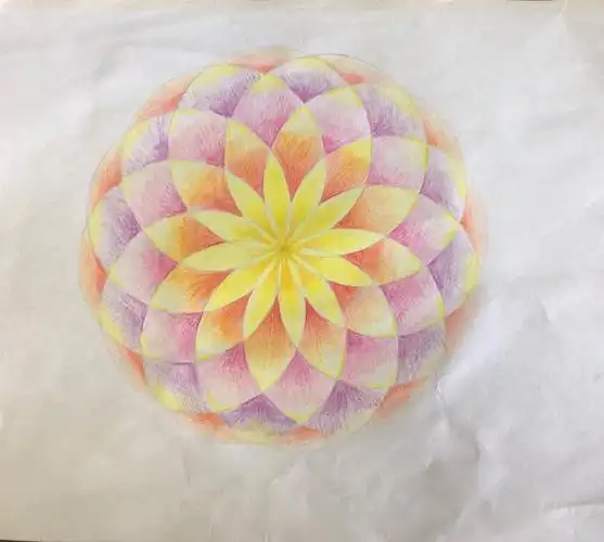 六(5)班 "用圆设计图案"作品展