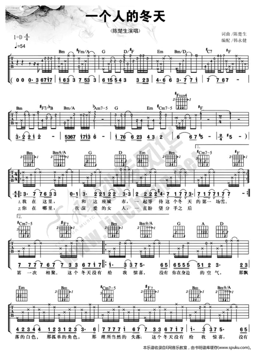 一个人的冬天-陈楚生