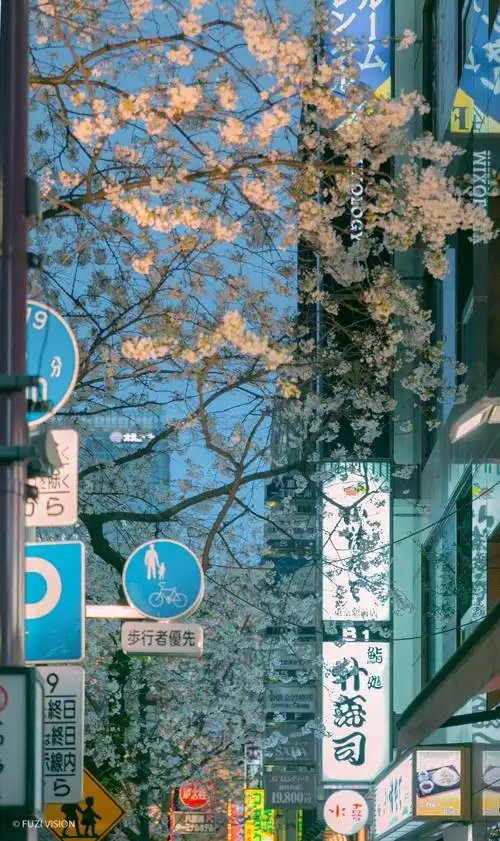 街景 日本 壁纸