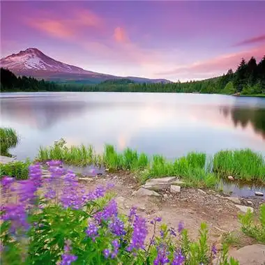 能带来好运的微信头像唯美风景 招财转运的微信头像2018大全分享!