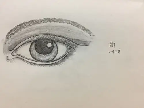 30天初级绘画班作业