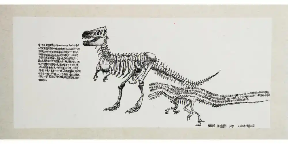 用线描形式画出恐龙化石,锻炼线描能力