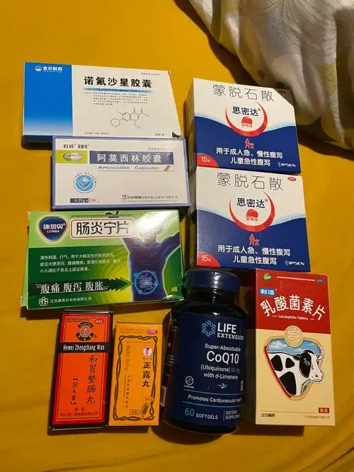 有了乳酸菌素片就不需要整肠生了,反正都是调节菌落的.