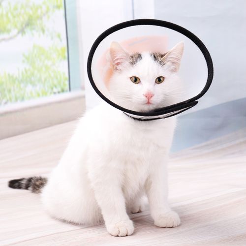 猫圈狗圈除跳蚤防虱子猫跳蚤圈宠物体外驱虫狗狗猫咪项圈猫咪用品