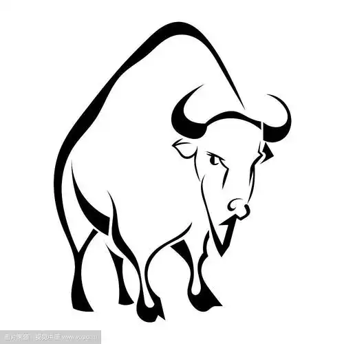 野牛孤立在白色背景上.矢量插图.