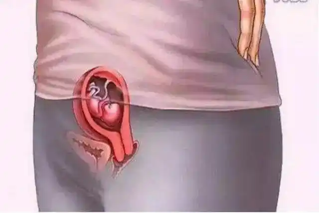 孕育生命究竟是什么样的十张图带你看怀孕全过程