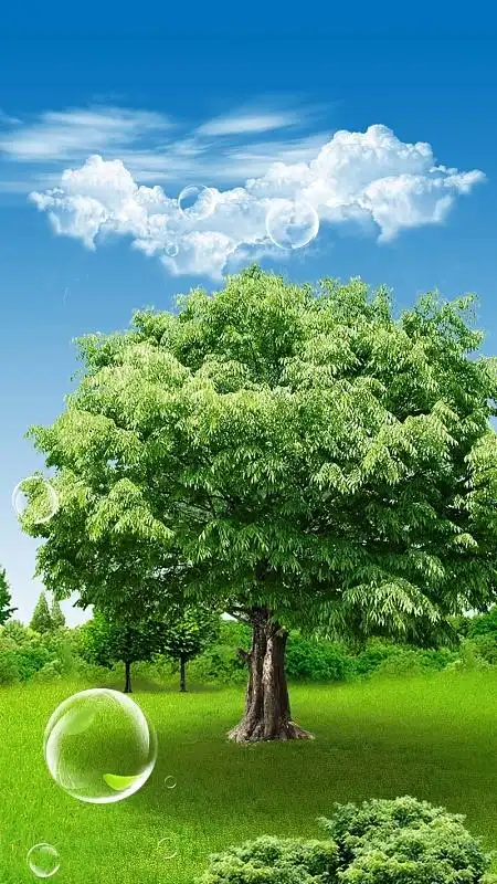 蓝天白云植树节源文件h5背景