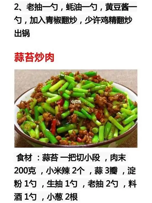 40种肉菜的做法_菜谱_美食_美食教程