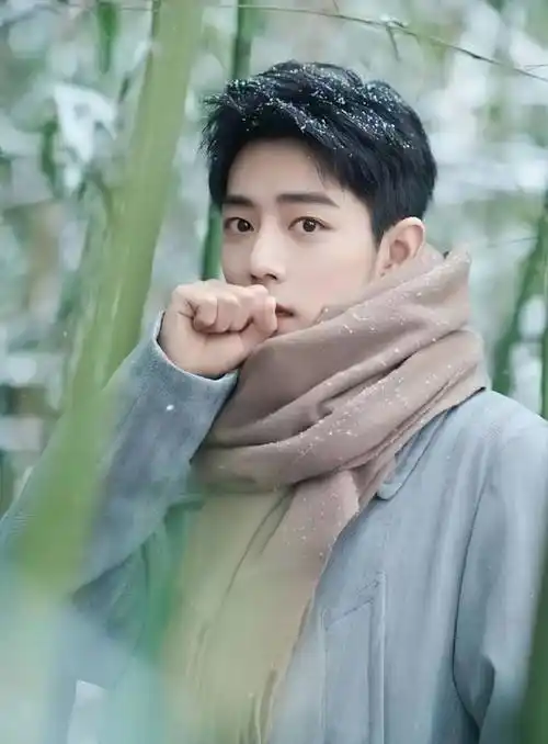 肖战的这组竹林写真如诗如画!绝美不容错过