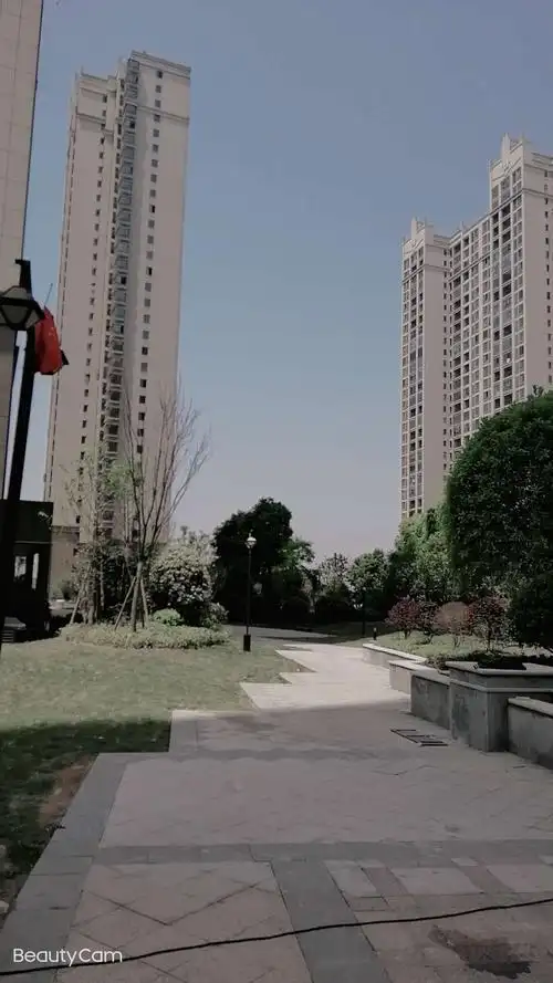 这是通往五栋的道路,五栋是小区的楼王