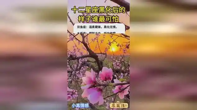 十二星座黑化后的样子谁最可怕|黄道十二宫|星座情感|星座运势_网易