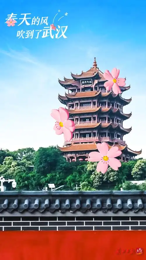 用ar把樱花穿上身_武汉_新闻中心_长江网_cjn.cn