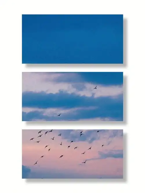 救命黄油相机好懂我滤镜直接套的快乐