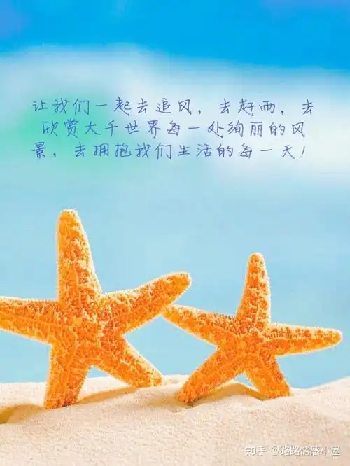 表达阳光快乐的句子阳光美好的句子说说心情