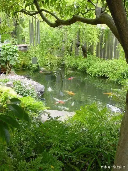 寻找一种制作快速且简单方便的池塘,成品池塘就是你的选择!