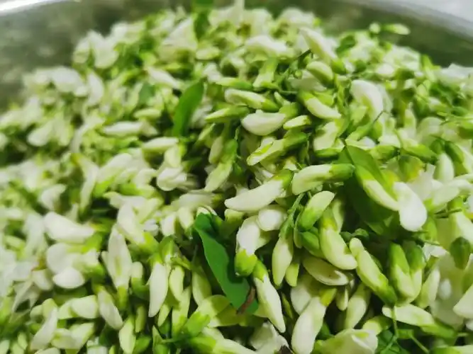 槐花麦饭最好吃做法来啦