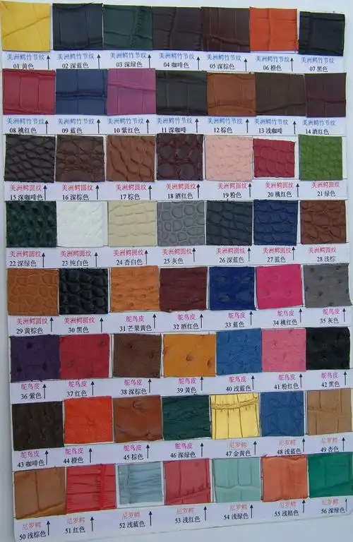 美洲鳄鱼皮革色卡 鸵鸟真皮色卡专 皮革色卡