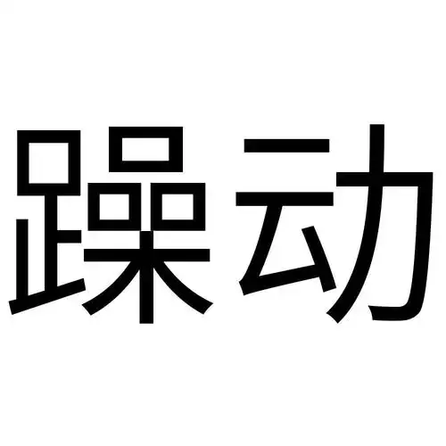躁动 商标公告