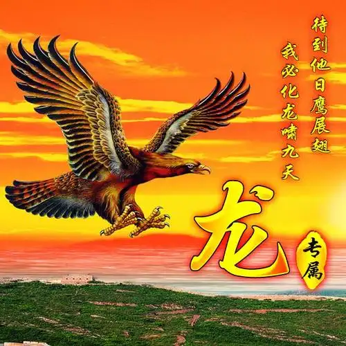 今日头像:待到他日鹰展翅,我必化龙啸九天