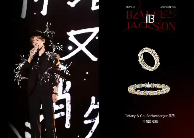 特别定制内搭|emporio armani特别定制@armani阿玛尼珠宝 |  tiffany