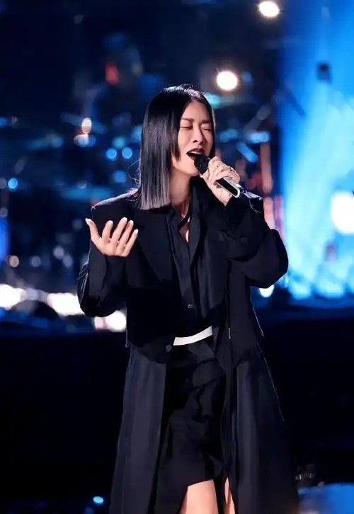 那英 这一辈子没选错职业