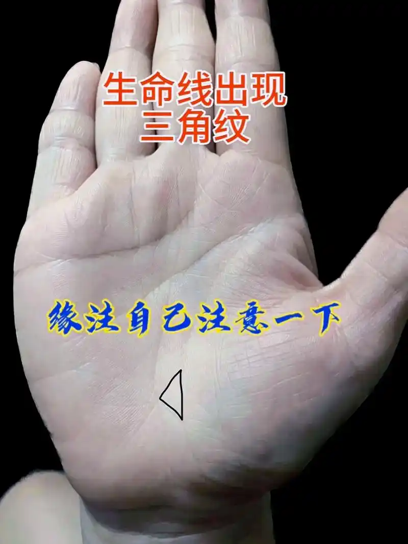 上热门 #掌纹的秘密 #国学文化 #经验分享 #相信科学拒 - 抖音