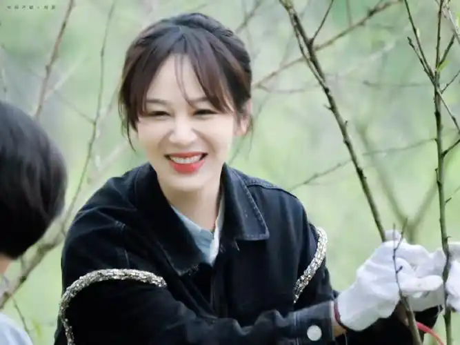 杨紫向往的生活