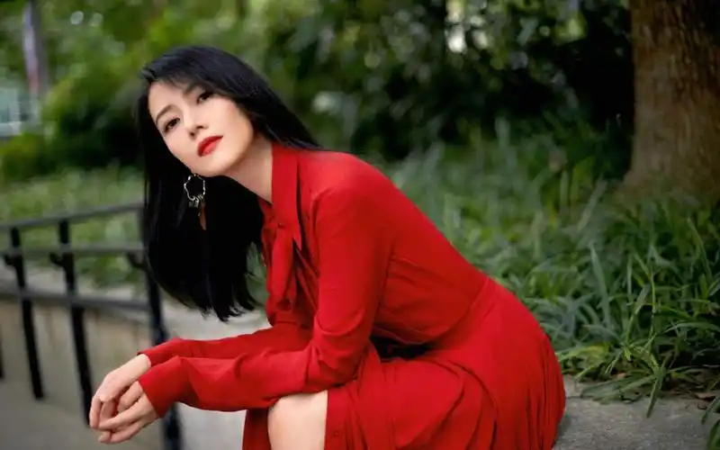 高圆圆优雅妩媚写真桌面壁纸