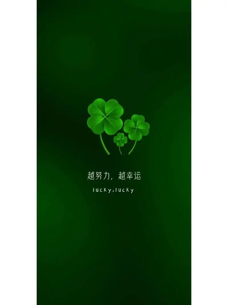 一期关于四叶草的壁纸 愿幸运