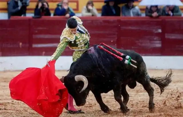 西班牙斗牛(图片来自东方ic)