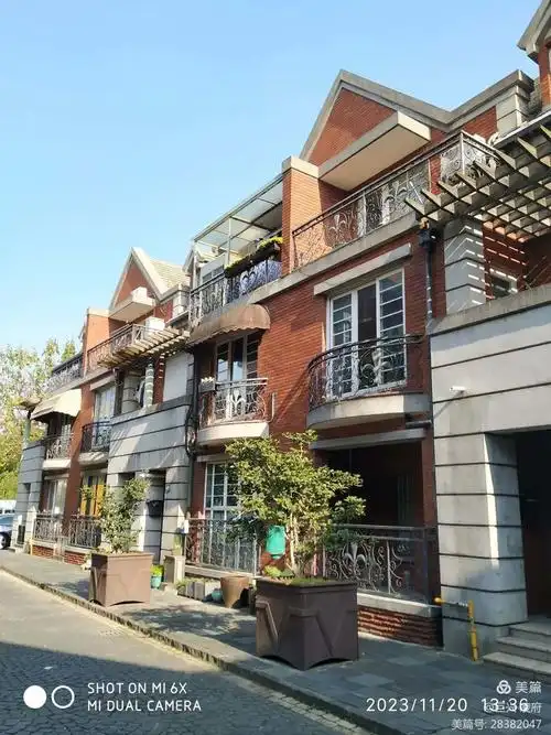 游上海松江英国风情泰晤士小镇2023.11.20