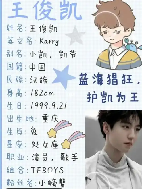 王俊凯的资料来了