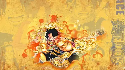 电脑壁纸 动漫卡通 动漫人物 海贼王艾斯