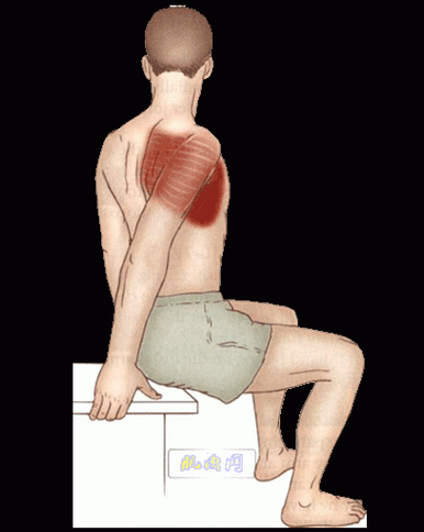 肩部肌肉拉伸图解