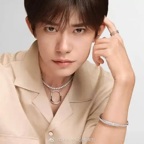 新鲜帅气的蒂芙尼全球品牌代言人易烊千玺